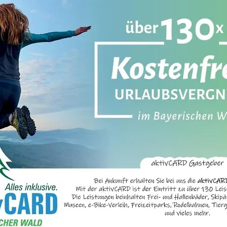 Helle, Lichtdurchflutete Im Herzen Des Bayerischen Waldes, Nationalparknaehe * Rinchnach