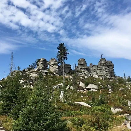 Lichtdurchflutete Im Herzen Des Bayerischen Waldes, Nationalparknaehe * Rinchnach