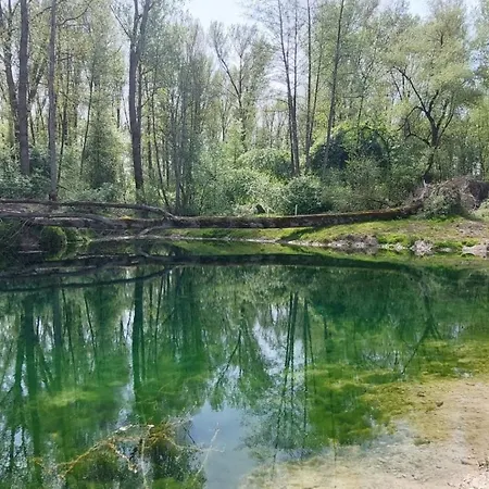 Lichtdurchflutete Im Herzen Des Bayerischen Waldes, Nationalparknaehe Apartment Rinchnach