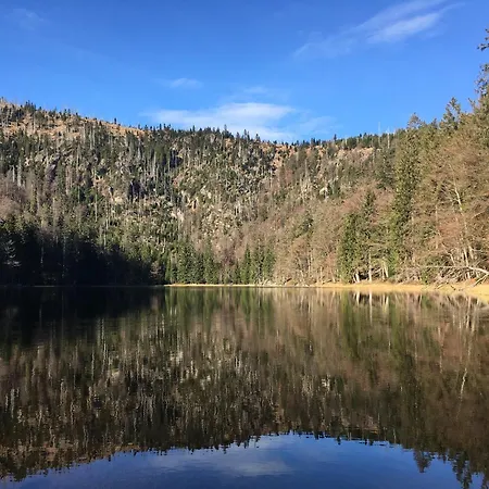 Helle, Lichtdurchflutete Im Herzen Des Bayerischen Waldes, Nationalparknaehe Rinchnach