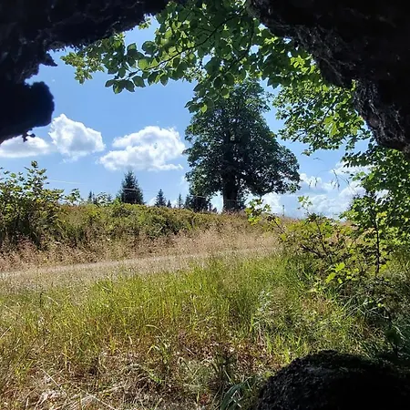 Apartamento Helle, Lichtdurchflutete Im Herzen Des Bayerischen Waldes, Nationalparknaehe