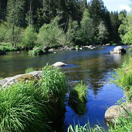 Helle, Lichtdurchflutete Im Herzen Des Bayerischen Waldes, Nationalparknaehe Apartamento