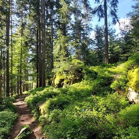 Lichtdurchflutete Im Herzen Des Bayerischen Waldes, Nationalparknaehe Apartment