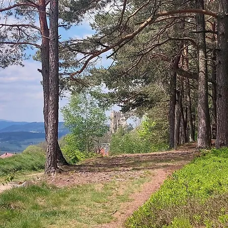 Lichtdurchflutete Im Herzen Des Bayerischen Waldes, Nationalparknaehe * Rinchnach