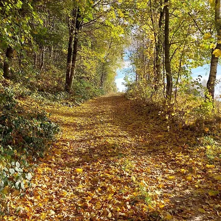 Apartamento Helle, Lichtdurchflutete Im Herzen Des Bayerischen Waldes, Nationalparknaehe Rinchnach