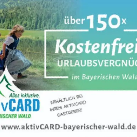 Διαμέρισμα Helle, Lichtdurchflutete Im Herzen Des Bayerischen Waldes, Nationalparknaehe Rinchnach