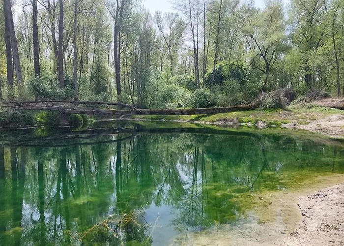 Helle, Lichtdurchflutete Im Herzen Des Bayerischen Waldes, Nationalparknaehe Apartamento Rinchnach