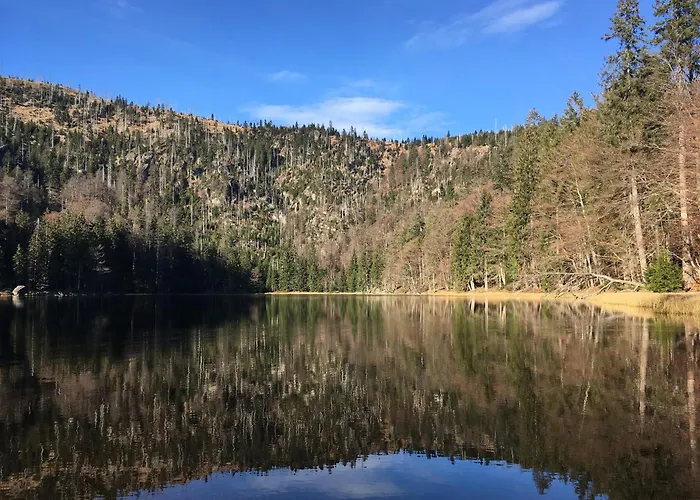 Helle, Lichtdurchflutete Im Herzen Des Bayerischen Waldes, Nationalparknaehe Rinchnach