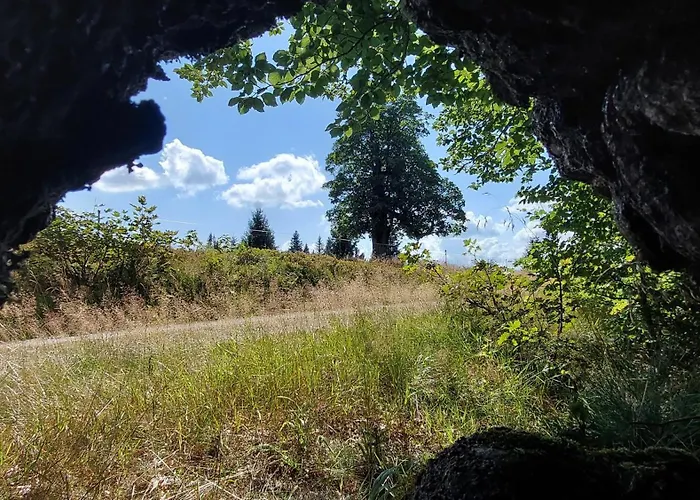 Apartamento Helle, Lichtdurchflutete Im Herzen Des Bayerischen Waldes, Nationalparknaehe