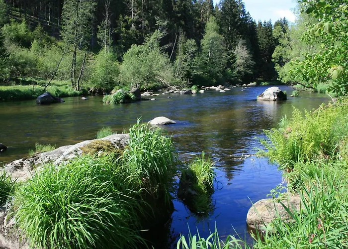 Helle, Lichtdurchflutete Im Herzen Des Bayerischen Waldes, Nationalparknaehe Apartamento