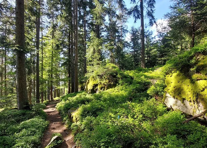 Helle, Lichtdurchflutete Im Herzen Des Bayerischen Waldes, Nationalparknaehe Apartamento