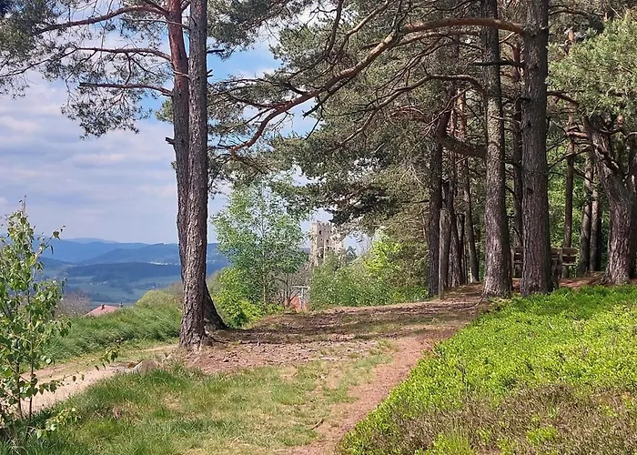 Helle, Lichtdurchflutete Im Herzen Des Bayerischen Waldes, Nationalparknaehe * Rinchnach