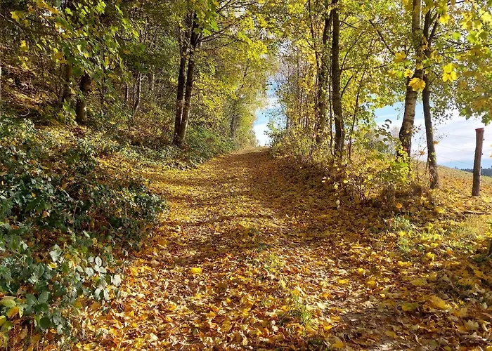 Apartamento Helle, Lichtdurchflutete Im Herzen Des Bayerischen Waldes, Nationalparknaehe Rinchnach